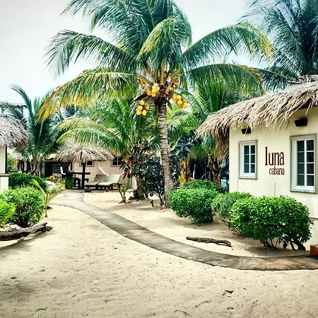Caribbean Beach Cabanas-2